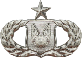 Нагрудный знак Старший специалист поддержки операций 
