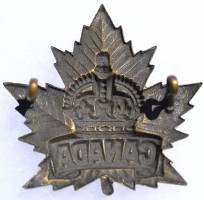 Нагрудный знак Канада 