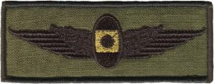 Нагрудный знак Штурман 
