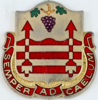 Badge 313th AAA Battalion 