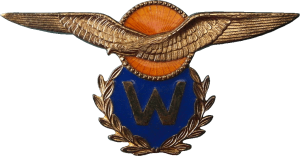Badge Pilot observer 