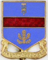 Badge 162nd Infantry Regiment 