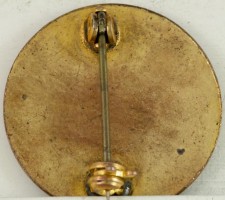 Badge 24th Infantry Division 