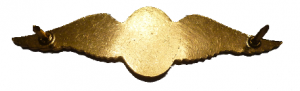 Нагрудный знак Пилот 