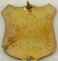 Badge 105th Infantry Regiment 