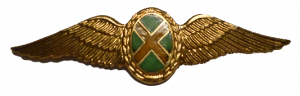 Нагрудный знак Пилот 