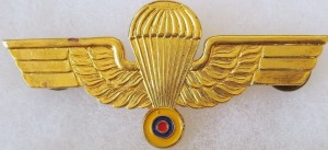 Нагрудный знак Парашютист 
