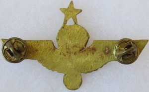 Нагрудный знак Старший парашютист 