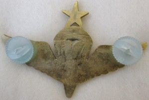 Нагрудный знак Старший парашютист морской пехоты 
