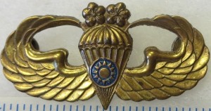 Нагрудный знак Парашютист 