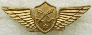 Нагрудный знак DRUZE PATROL UNIT  