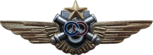 Badge Pilot helicopter instructor 