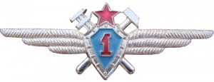Badge Technician 1st class 