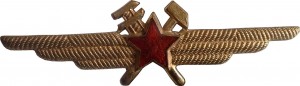 Нагрудный знак Специалист ИТС без класса 