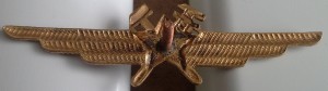 Нагрудный знак Специалист ИТС без класса 