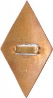 Нагрудный знак Рижский медицинский институт 