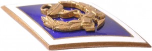 Нагрудный знак Рижский медицинский институт 