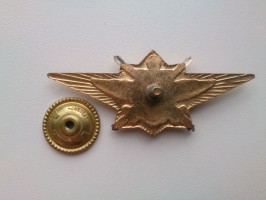 Нагрудный знак Офицер, специалист ВС РФ 1 класса 