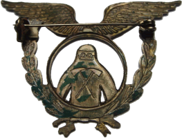 Badge Fireman 