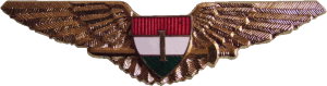 Badge Pilot 1st class 