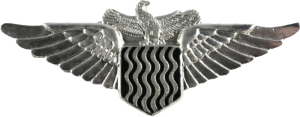 Нагрудный знак Пилот серебряный 