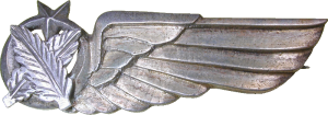 Badge Secretary 