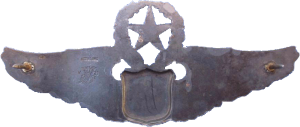 Badge Master astranaut badge 