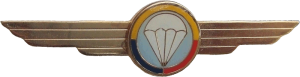 Нагрудный знак Парашютист ВВС 