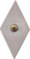 Нагрудный знак RJS 1972 