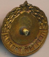 Нагрудный знак 1 разряд Лыжи Женщины. 