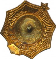Нагрудный знак Чемпион Гребля  