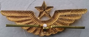 Badge Cap badge 