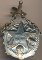 Нагрудный знак Готов к ПВХО  