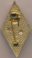 Нагрудный знак МАМИ 
