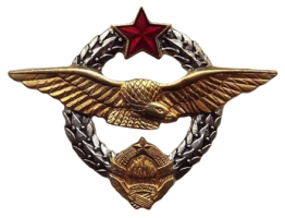 Badge Pilot 