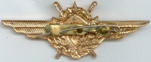 Badge  