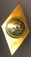 Нагрудный знак РГАЗУ  
