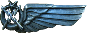 Нагрудный знак Радист 