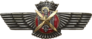 Badge Pilot observer 
