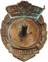 Нагрудный знак Чемпион ДСО 