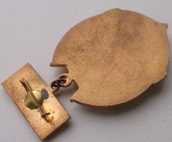 Badge  