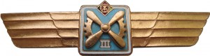 Badge Technician 3rd class 