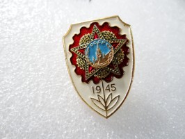 Нагрудный знак 1945 