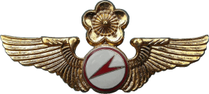 Нагрудный знак Пилот планера 