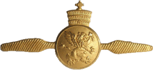 Нагрудный знак Курсант 