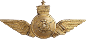 Badge Pilot 