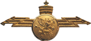 Badge Radioman 