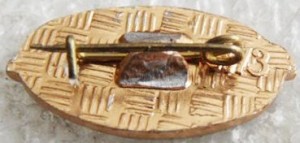 Нагрудный знак НПО Молния. 