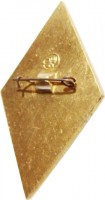Badge  