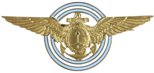 Нагрудный знак Пилот командного уровня 